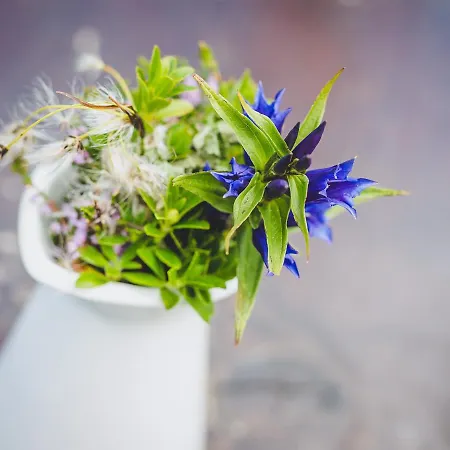 Fuerthermoar Hideaways קפרון